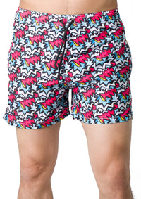 Scratches SWIM SHORT